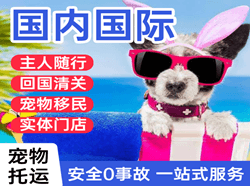 东河航空邮寄国际宠物托运 【国